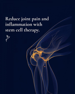 Slider image (2) Blue Phoenix